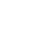 Crow Familiar